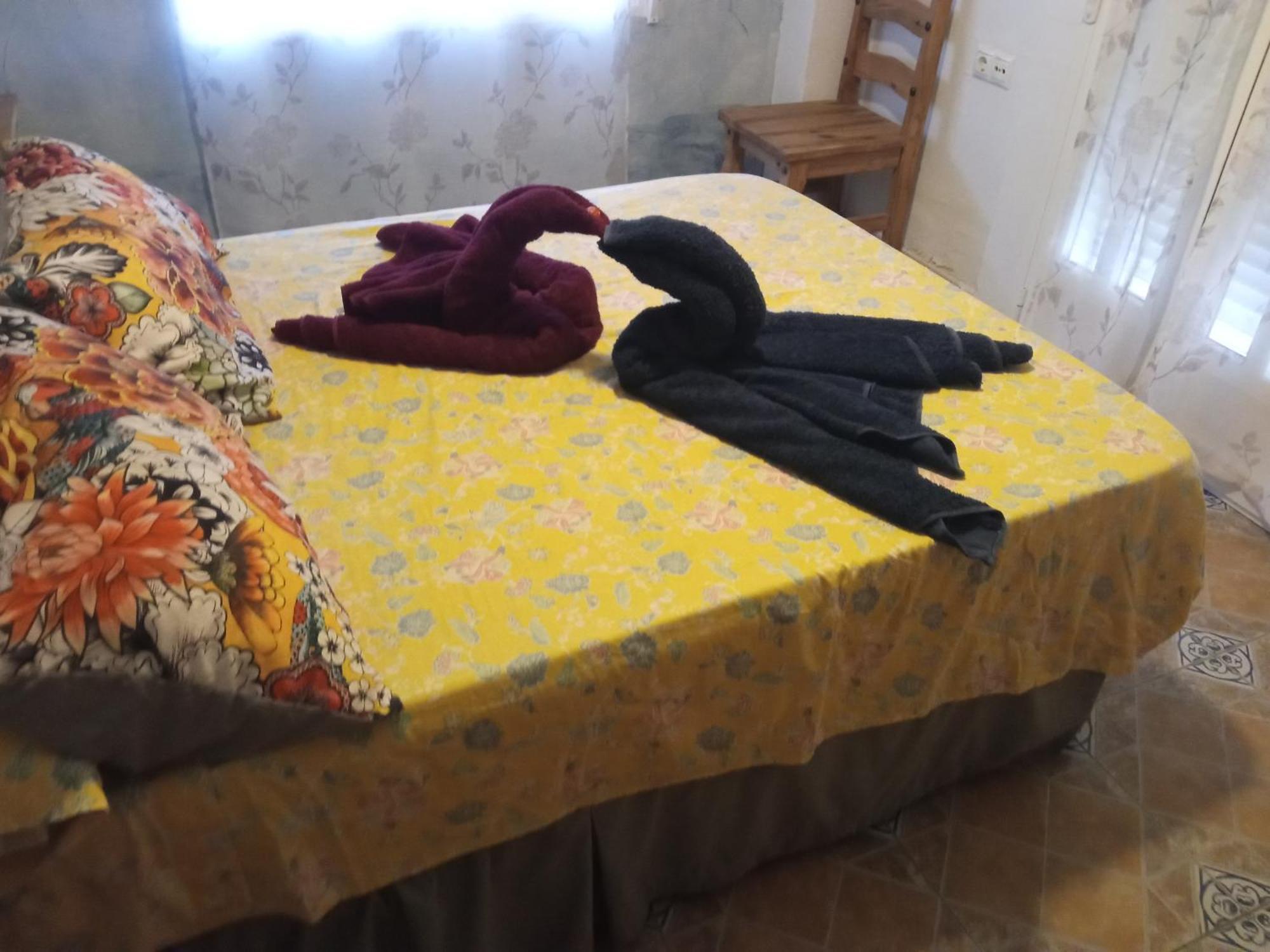 Apartamento Maite Guardamar del Segura Rum bild