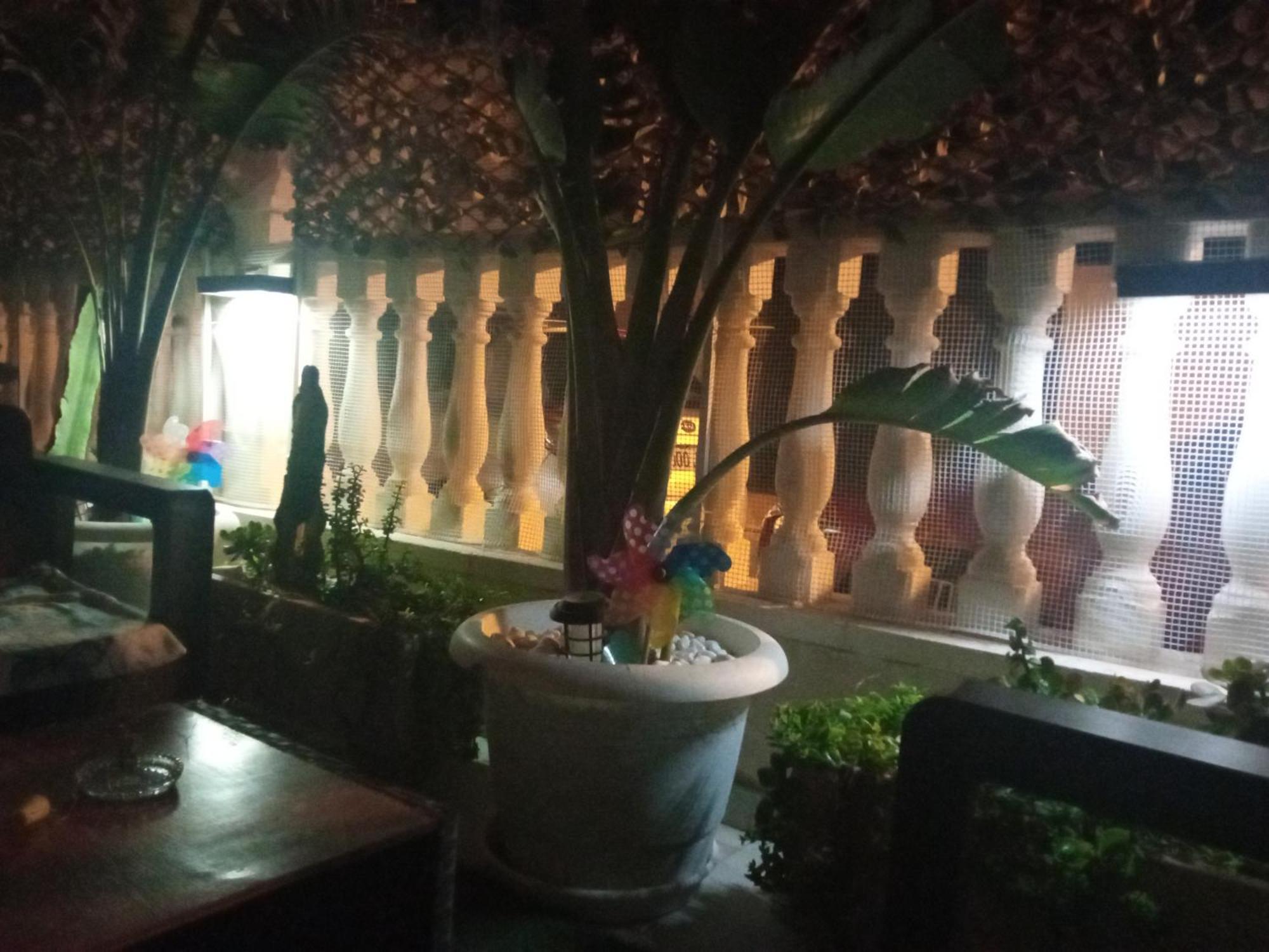 Apartamento Maite Guardamar del Segura Rum bild